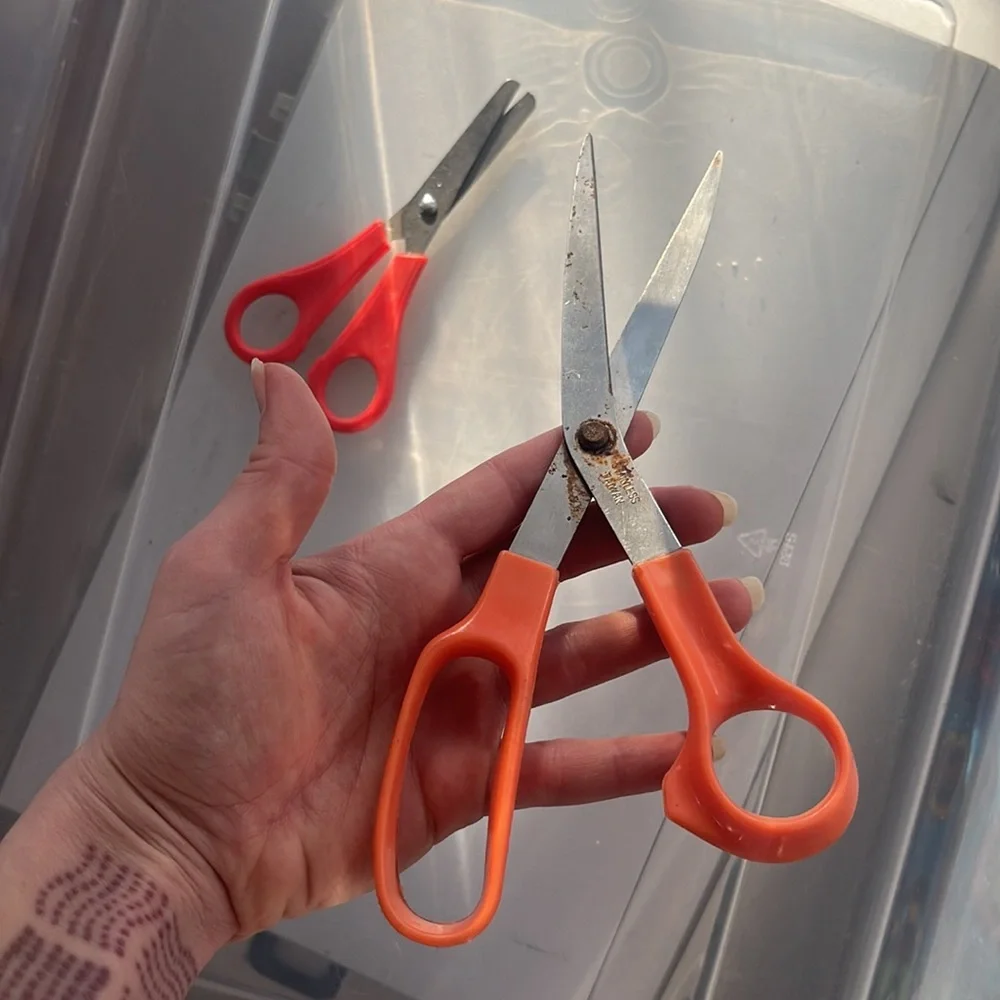 Scissors - Picture 6 of 6